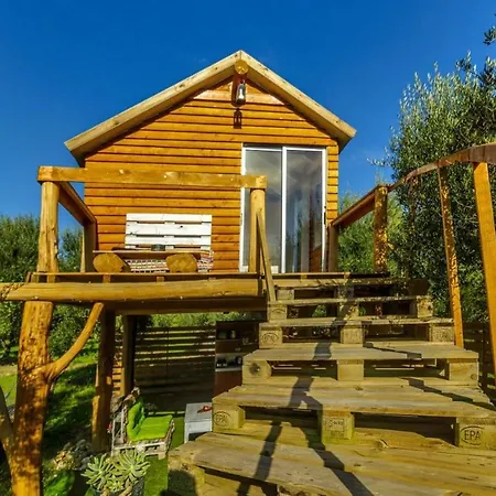 Terra Vine Collection -dream Catcher *