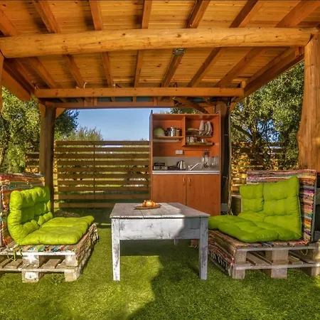 Terra Vine Collection -dream Catcher *