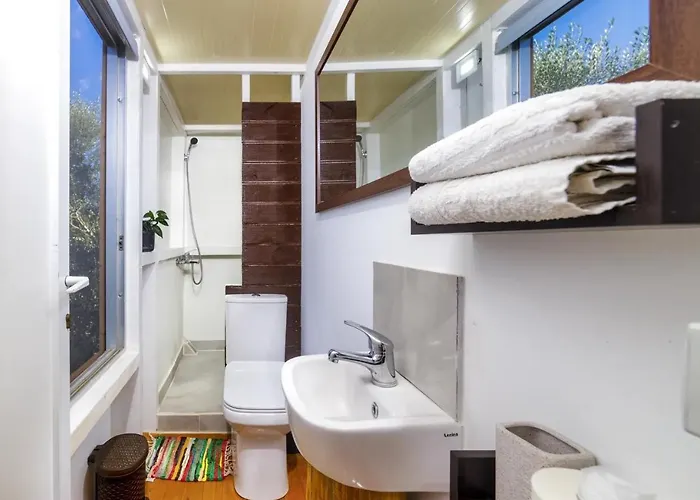 Terra Vine Collection -dream Catcher