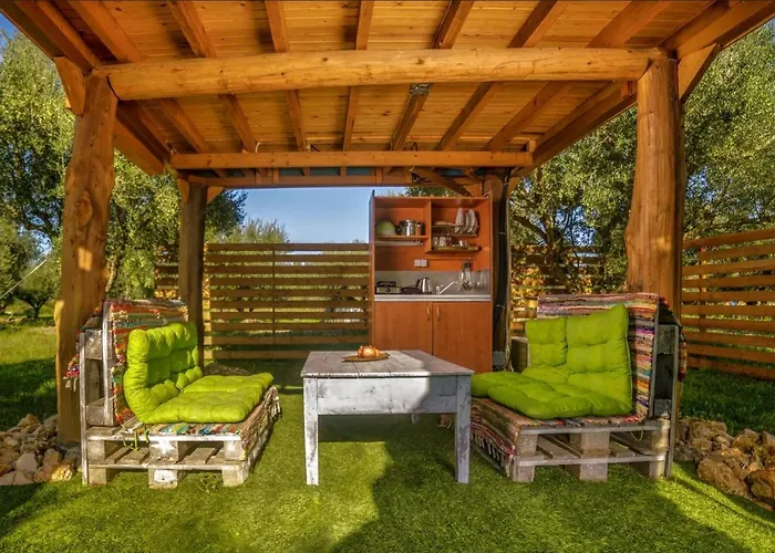 Terra Vine Collection -dream Catcher *